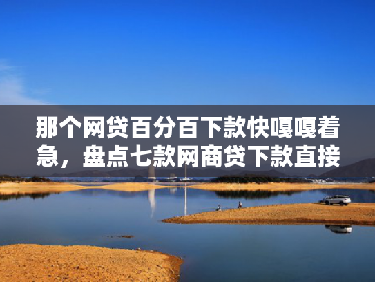 那个网贷百分百下款快嘎嘎着急，盘点七款网商贷下款直接上征信吗