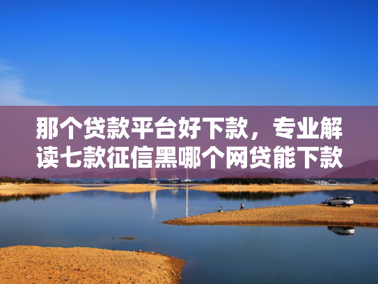 那个贷款平台好下款，专业解读七款征信黑哪个网贷能下款