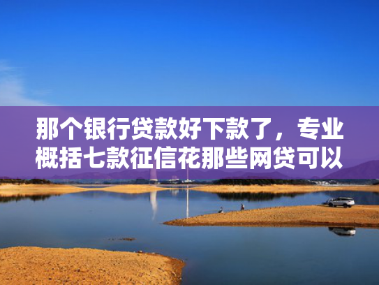 那个银行贷款好下款了，专业概括七款征信花那些网贷可以下款