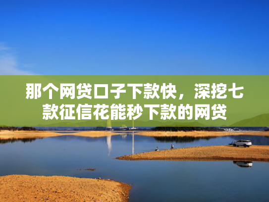 那个网贷口子下款快，深挖七款征信花能秒下款的网贷