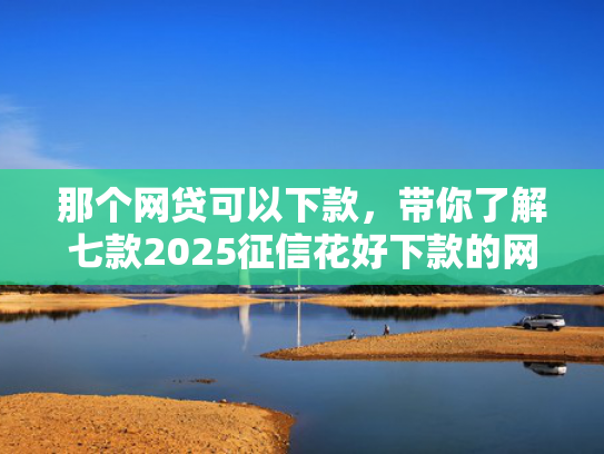 那个网贷可以下款，带你了解七款2025征信花好下款的网贷