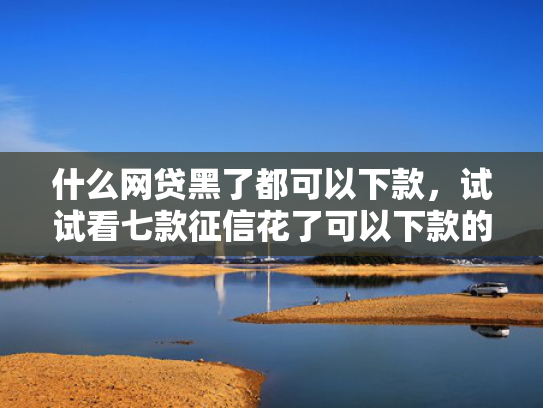 什么网贷黑了都可以下款，试试看七款征信花了可以下款的贷款
