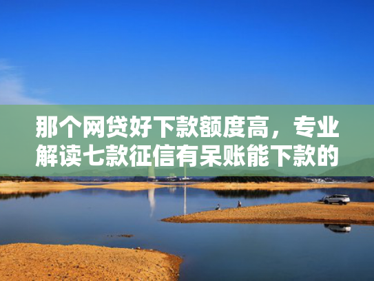 那个网贷好下款额度高，专业解读七款征信有呆账能下款的网贷