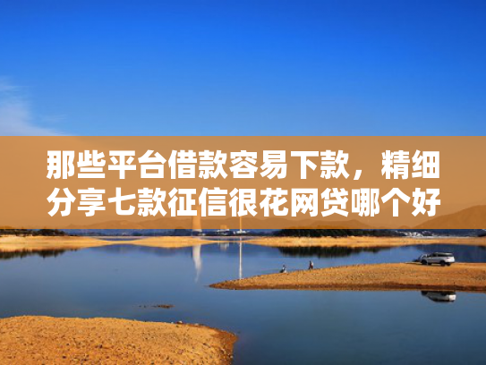 那些平台借款容易下款，精细分享七款征信很花网贷哪个好下款