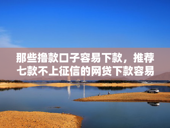 那些撸款口子容易下款，推荐七款不上征信的网贷下款容易