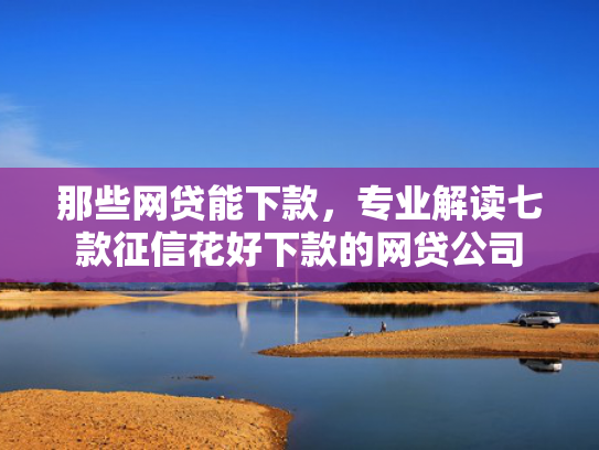 那些网贷能下款，专业解读七款征信花好下款的网贷公司