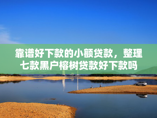 靠谱好下款的小额贷款，整理七款黑户榕树贷款好下款吗