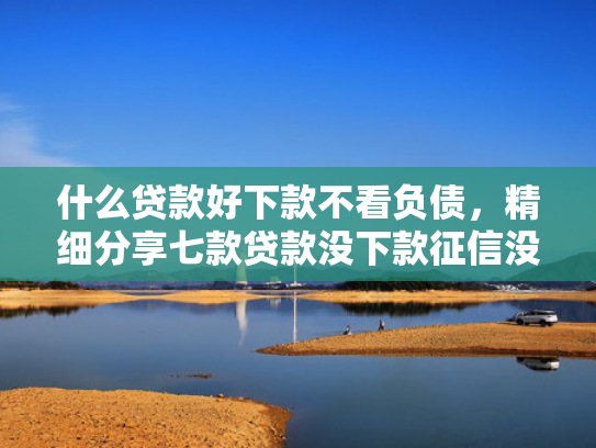 什么贷款好下款不看负债，精细分享七款贷款没下款征信没有