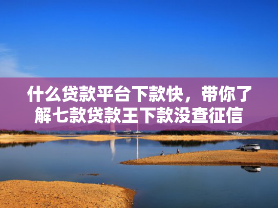 什么贷款平台下款快，带你了解七款贷款王下款没查征信