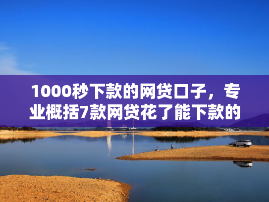 1000秒下款的网贷口子，专业概括7款网贷花了能下款的口子
