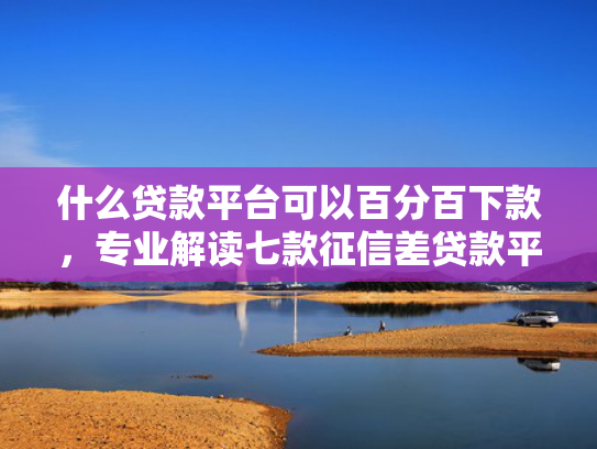 什么贷款平台可以百分百下款，专业解读七款征信差贷款平台能下款吗
