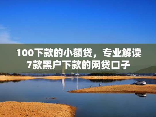 100下款的小额贷，专业解读7款黑户下款的网贷口子