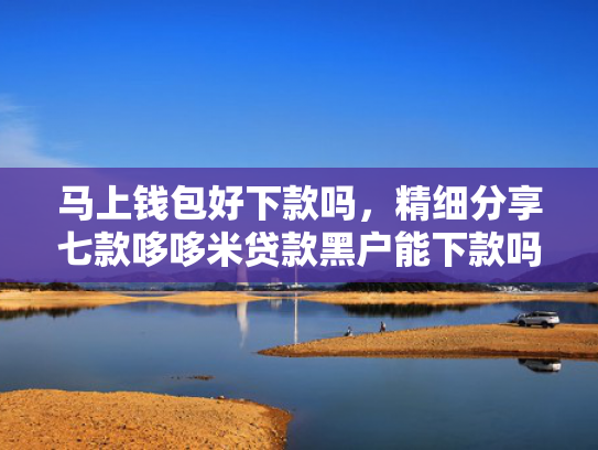 马上钱包好下款吗，精细分享七款哆哆米贷款黑户能下款吗