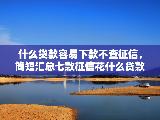 什么贷款容易下款不查征信，简短汇总七款征信花什么贷款好下款