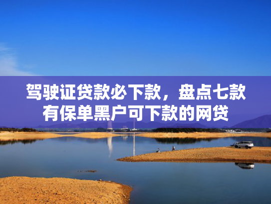 驾驶证贷款必下款，盘点七款有保单黑户可下款的网贷