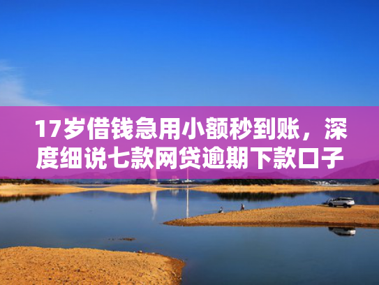 17岁借钱急用小额秒到账，深度细说七款网贷逾期下款口子