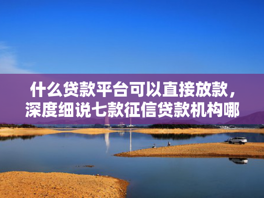 什么贷款平台可以直接放款，深度细说七款征信贷款机构哪个好下款