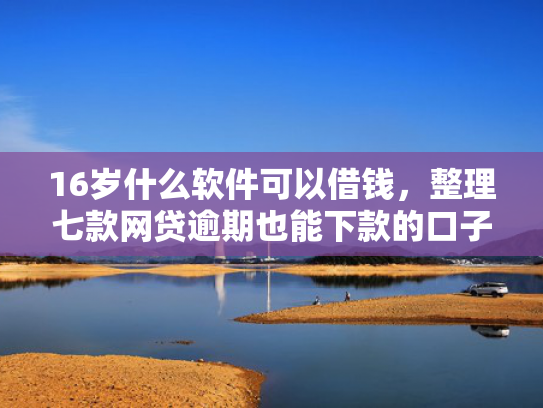 16岁什么软件可以借钱，整理七款网贷逾期也能下款的口子