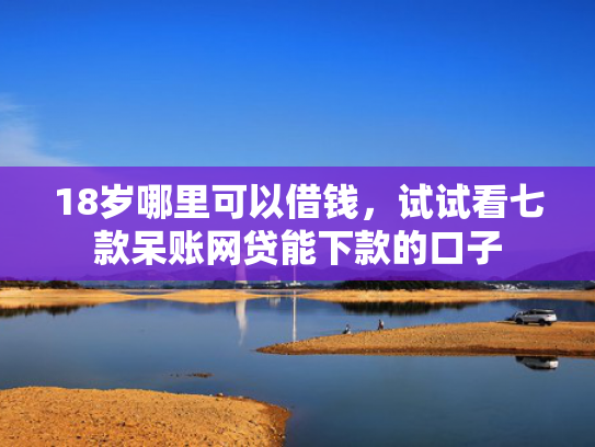 18岁哪里可以借钱，试试看七款呆账网贷能下款的口子