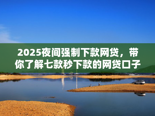 2025夜间强制下款网贷，带你了解七款秒下款的网贷口子大全