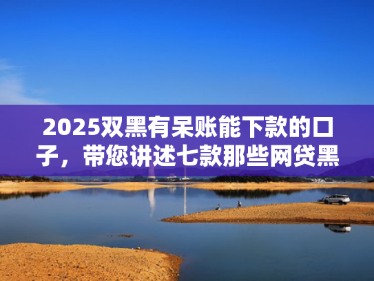 2025双黑有呆账能下款的口子，带您讲述七款那些网贷黑口子好下款