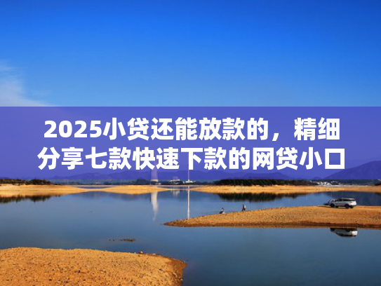 2025小贷还能放款的，精细分享七款快速下款的网贷小口子