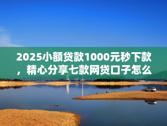 2025小额贷款1000元秒下款，精心分享七款网贷口子怎么填下款高