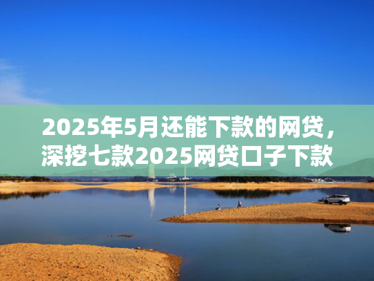 2025年5月还能下款的网贷，深挖七款2025网贷口子下款快