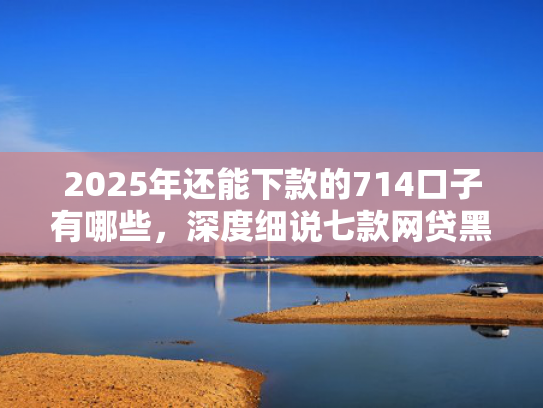 2025年还能下款的714口子有哪些，深度细说七款网贷黑户苹果下款口子