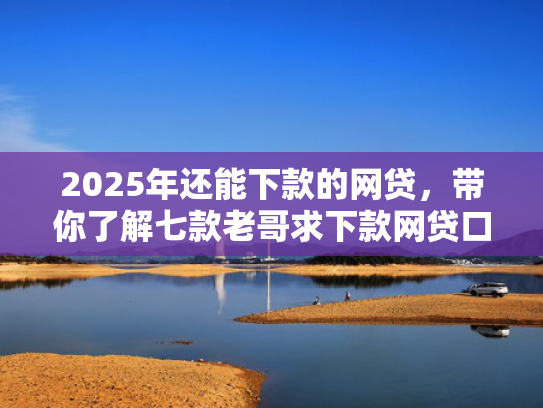 2025年还能下款的网贷，带你了解七款老哥求下款网贷口子