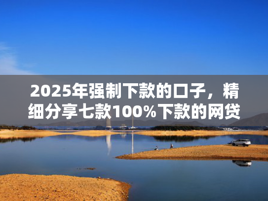 2025年强制下款的口子，精细分享七款100%下款的网贷口子