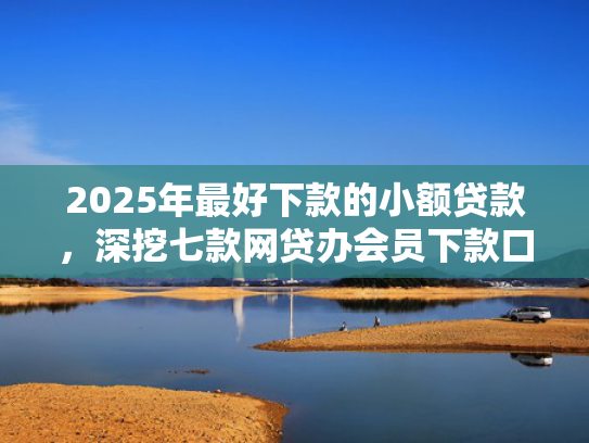 2025年最好下款的小额贷款，深挖七款网贷办会员下款口子
