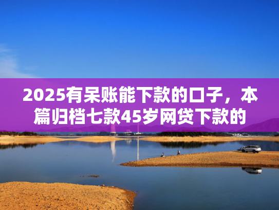 2025有呆账能下款的口子，本篇归档七款45岁网贷下款的口子
