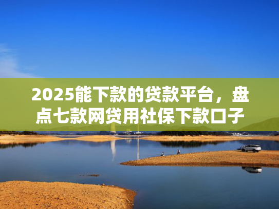 2025能下款的贷款平台，盘点七款网贷用社保下款口子