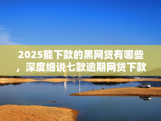 2025能下款的黑网贷有哪些，深度细说七款逾期网贷下款贷款口子