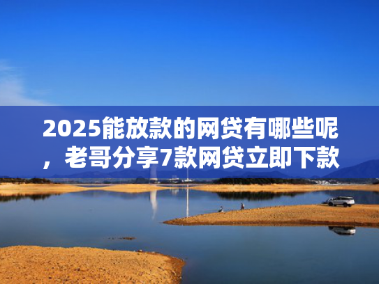 2025能放款的网贷有哪些呢，老哥分享7款网贷立即下款的口子