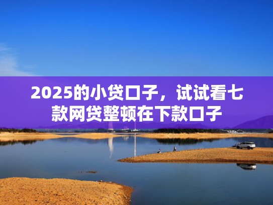 2025的小贷口子，试试看七款网贷整顿在下款口子