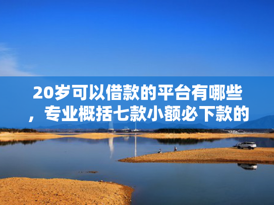 20岁可以借款的平台有哪些，专业概括七款小额必下款的网贷口子