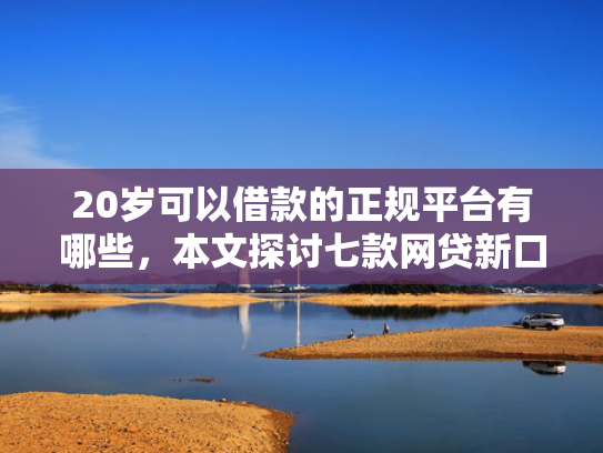 20岁可以借款的正规平台有哪些，本文探讨七款网贷新口子秒下款吗