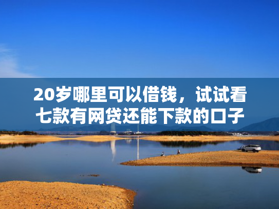 20岁哪里可以借钱，试试看七款有网贷还能下款的口子
