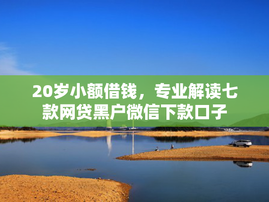 20岁小额借钱，专业解读七款网贷黑户微信下款口子