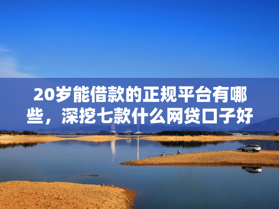 20岁能借款的正规平台有哪些，深挖七款什么网贷口子好下款的