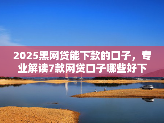 2025黑网贷能下款的口子，专业解读7款网贷口子哪些好下款