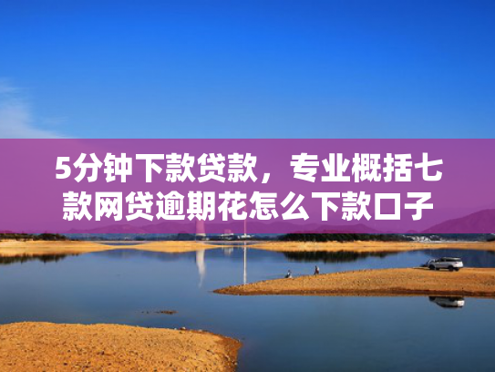 5分钟下款贷款，专业概括七款网贷逾期花怎么下款口子