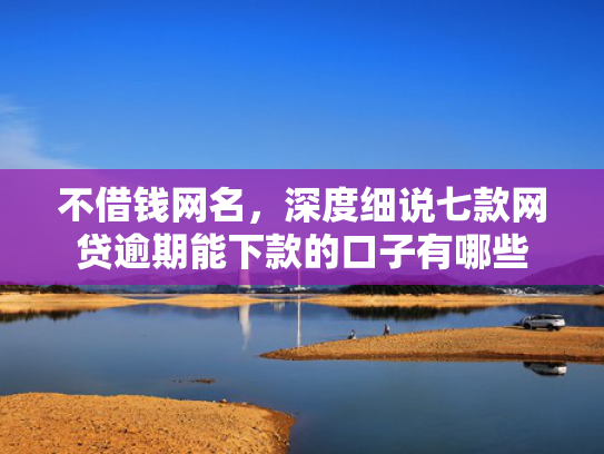 不借钱网名，深度细说七款网贷逾期能下款的口子有哪些