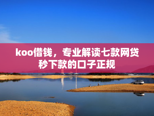 koo借钱，专业解读七款网贷秒下款的口子正规
