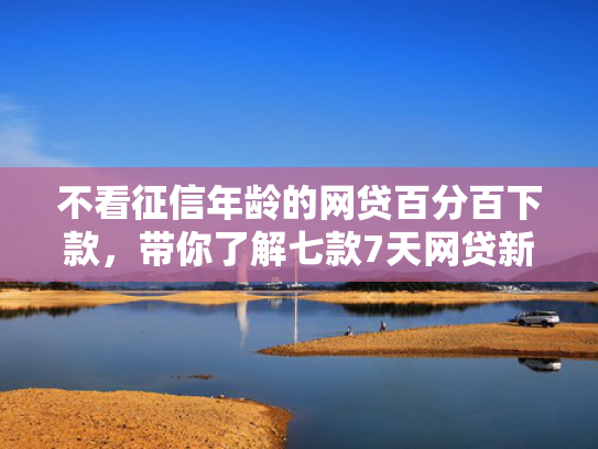不看征信年龄的网贷百分百下款，带你了解七款7天网贷新口子半夜下款