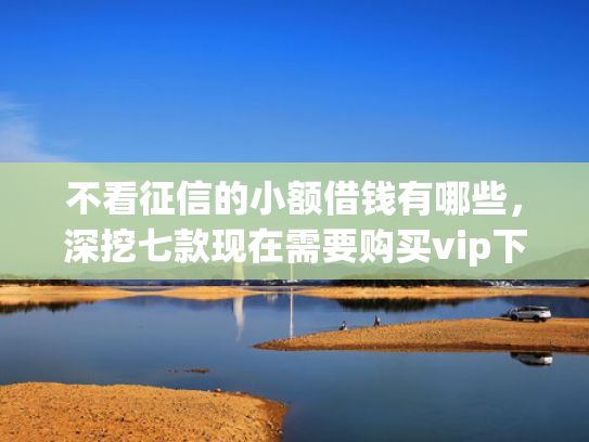 不看征信的小额借钱有哪些，深挖七款现在需要购买vip下款的网贷口子