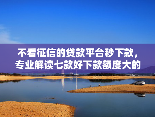 不看征信的贷款平台秒下款，专业解读七款好下款额度大的网贷口子