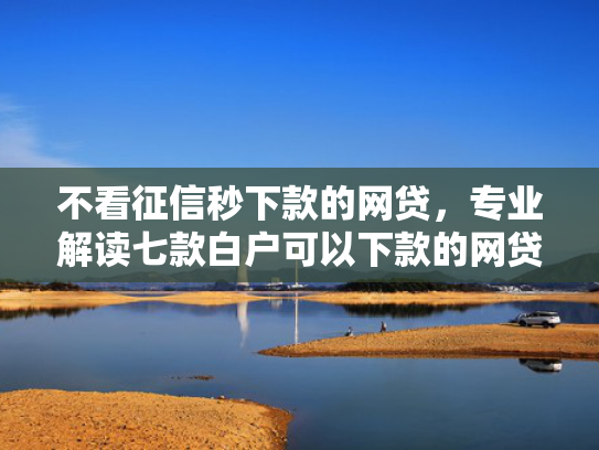 不看征信秒下款的网贷，专业解读七款白户可以下款的网贷口子